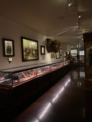 Ancient Ozarks Natural History Museum by null