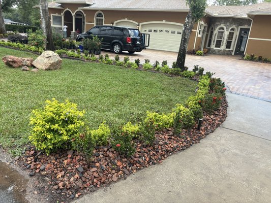 Best Place to Buy Plants in Clermont Florida: Top Nurseries Revealed 4 Best Place to Buy Plants in Clermont Florida: Top Nurseries Revealed