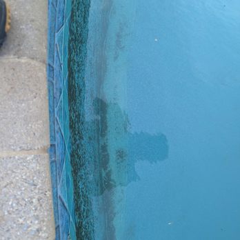 Pool Scouts of Virginia Beach and Norfolk - algae - Pool Cleaners Near Me - Virginia Beach, Idaho Pool Scouts of Virginia Beach and Norfolk - algae - Pool Cleaners Near Me - Virginia Beach, Idaho