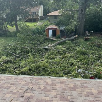 Acme Tree Services - Our backyard before and after - Tree Services Near Me - Lincoln, Nebraska Acme Tree Services - Our backyard before and after - Tree Services Near Me - Lincoln, Nebraska