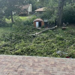 Acme Tree Services - Our backyard before and after