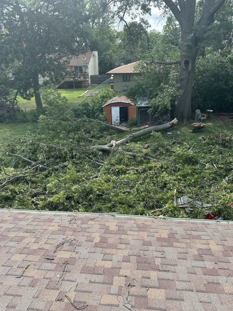 Acme Tree Services - tree service in Lincoln, NE
