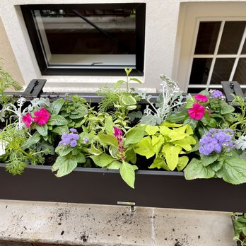 Hicks Nurseries - Nurseries & Gardening Near Me - Westbury, New York