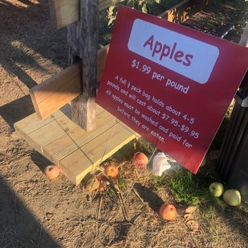 Johnson's Corner Farm - Fruits & Veggies Near Me - Medford, New Jersey
