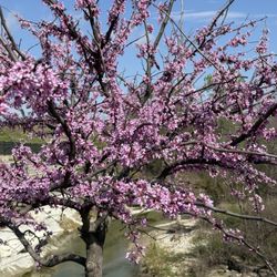Limestone Quarry Park