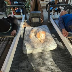 Pilates Mechanic