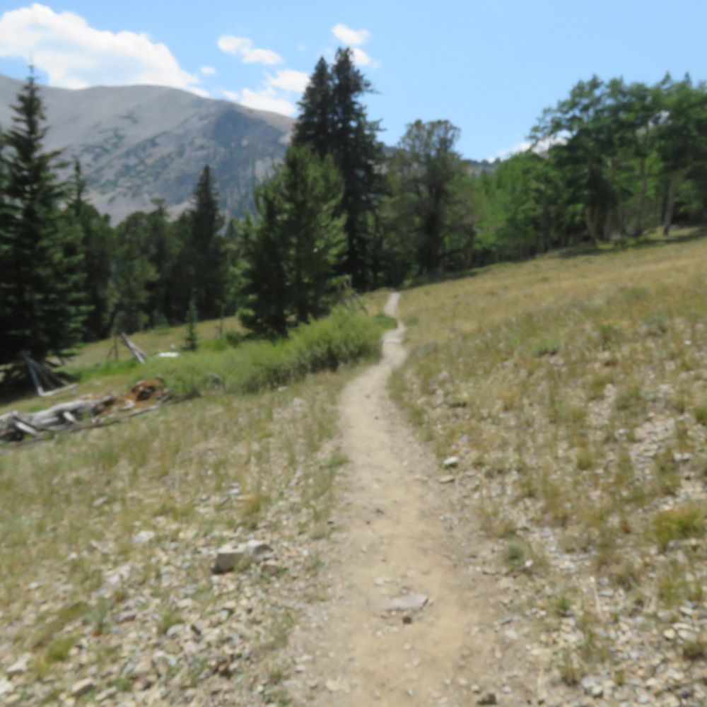 Great Basin National Park - The trail through an Alpine-like meadow. - Parks Near Me - Baker, Nevada