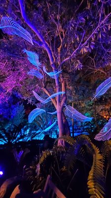 San Diego Botanic Garden by null