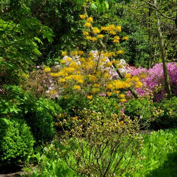Sayen House & Gardens - Flowers in bloom - Parks Near Me - Hamilton, New Jersey