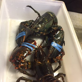 Five Islands Lobster - Sorry guys! - Seafood Near Me - Georgetown, Maine Five Islands Lobster - Sorry guys! - Seafood Near Me - Georgetown, Maine