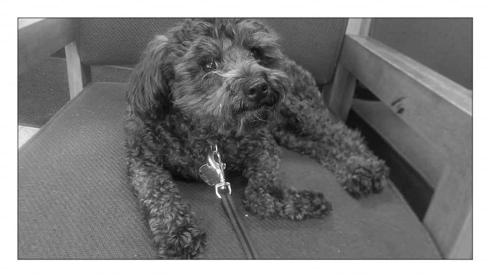 GREAT BRAKES Updated July 2024 13 Reviews 3326 University Ave SE