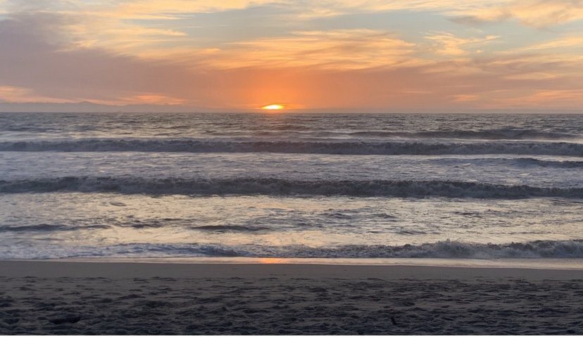 Lakshmi Wellness Coaching - grief counselor in Ventura, CA