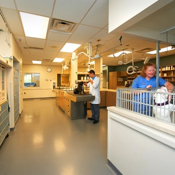 MedVet Commerce - Veterinarians Near Me - Commerce, Michigan MedVet Commerce - Veterinarians Near Me - Commerce, Michigan