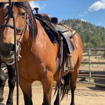 Sombrero Stables - Horseback Riding Near Me - Estes Park, Colorado