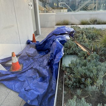 Axis - This stuff has been here for 2 weeks after a rainstorm where there was a leak - still not fixed. - Apartments Near Me - Los Angeles, California