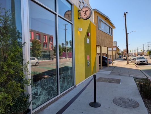 Fleurs et Sel by null