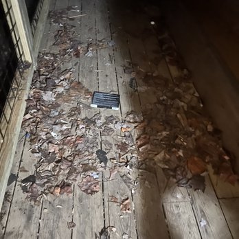 Cabins USA - Trash and leaves on back deck - Vacation Rentals Near Me - Sevierville, Tennessee Cabins USA - Trash and leaves on back deck - Vacation Rentals Near Me - Sevierville, Tennessee