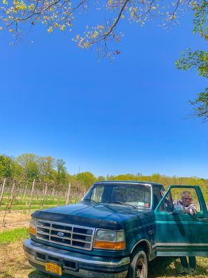 Hosmer Winery by null