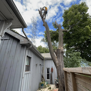 Timber Creek Tree Service - Tree Services Near Me Timber Creek Tree Service - Tree Services Near Me