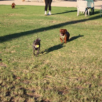 Costa Mesa Bark Park - Dog Parks Near Me - Costa Mesa, California