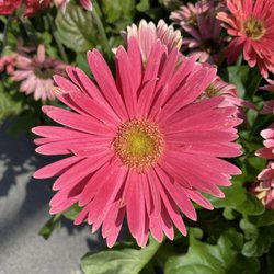 user provided White's Ace Hardware at Fishers photo