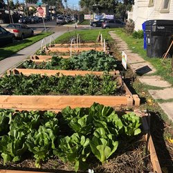 Co-Harvest Foundation