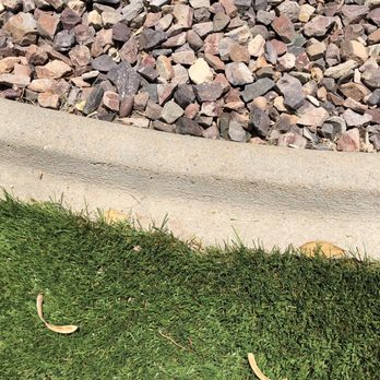Tactical Lanscape Management - a bird on the grass - Landscaping Near Me - Queen Creek, Arizona Tactical Lanscape Management - a bird on the grass - Landscaping Near Me - Queen Creek, Arizona