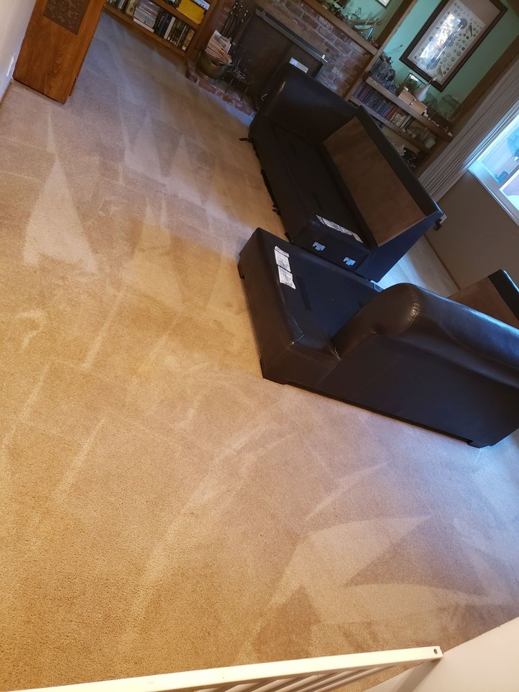 CLASS CARPET AND UPHOLSTERY CLEANING Updated September 2024 31