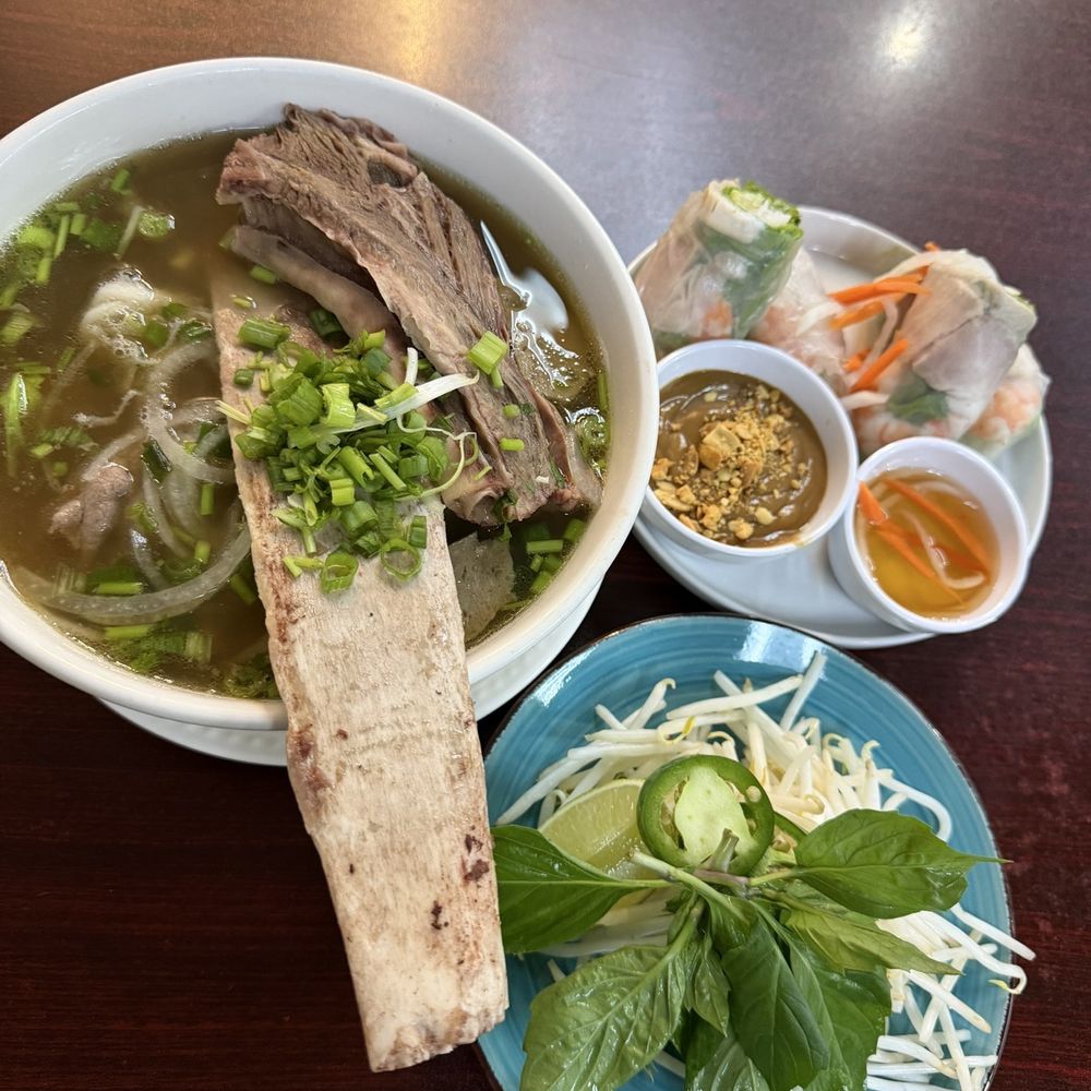 Short rib pho special, spring roll and mint & bean spout. Short rib pho special, spring roll and mint & bean spout.