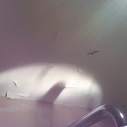 Our shower ceiling. (There were numerous other flaws/signs of wear, but I was too lazy/tired to take more pics.)