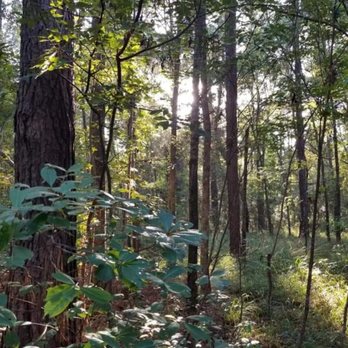 Laurel Hill County Park - Parks Near Me - Mount Pleasant, South Carolina