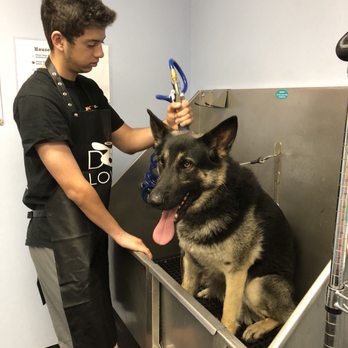 dog supply warehouse