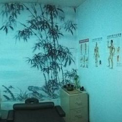 Nutrition Direct - Acupuncture Room