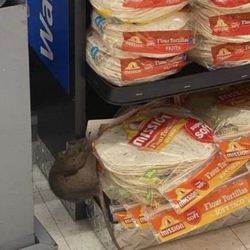 Walmart Supercenter - Rat