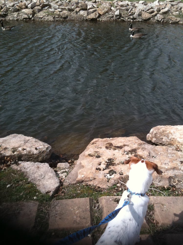 HAWTHORNE APTS Updated October 2024 5315 W 120th Ter, Leawood, Kansas Apartments Phone