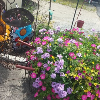 Olish's Farm - Farmers Market Near Me - Eastport, New York Olish's Farm - Farmers Market Near Me - Eastport, New York
