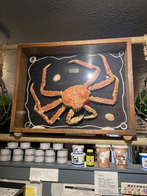 Mo's Seafood & Chowder by null