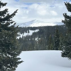 Shrine Mountain Trail