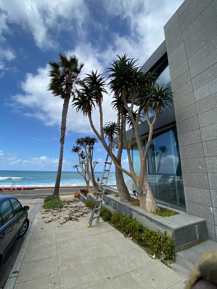 WAS Landscaping - tree service in San Diego, CA