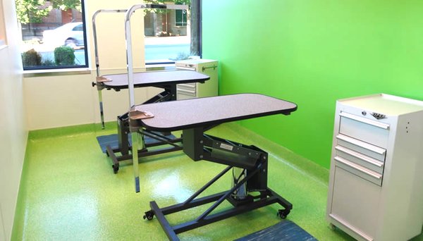 Citydog! Club by null