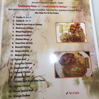 Tea Cup Cafe - Lunch menu as of 8/19 - Dim Sum Near Me - Sacramento, California