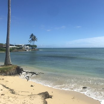 Hawaii Turtle Tours - China mans hat beach - Tours Near Me - Honolulu, Hawaii