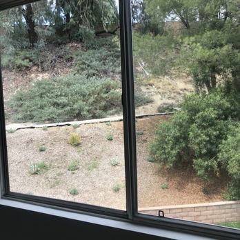 Blue Ribbon Window Cleaning - Window Washing Near Me