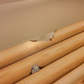 Great Wolf Lodge - Wallpaper town- easy fix for an over $500.00 per night room. - Resorts Near Me - Centralia, Washington Great Wolf Lodge - Wallpaper town- easy fix for an over $500.00 per night room. - Resorts Near Me - Centralia, Washington