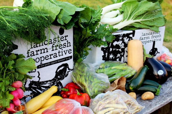 Lancaster Farm Fresh Cooperative by null