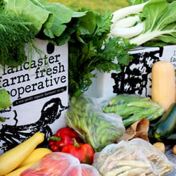Lancaster Farm Fresh Cooperative - Fall Shares