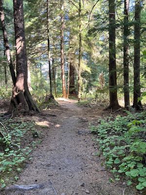 Lewis and Clark National Historical Park by null