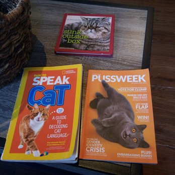 Pounce Cat Cafe - Table books at Pounce - Pet Adoption Near Me - Charleston, South Carolina Pounce Cat Cafe - Table books at Pounce - Pet Adoption Near Me - Charleston, South Carolina
