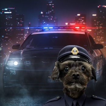 PawsVIP - Eddie's on patrol! Lol - Pet Groomers Near Me - Seattle, Washington