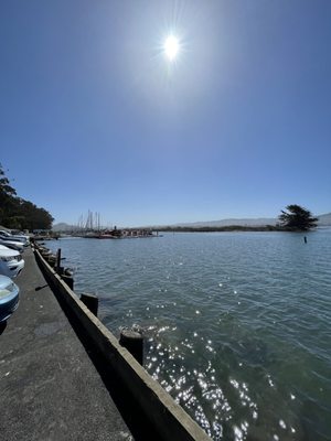 Morro Bay State Park by null